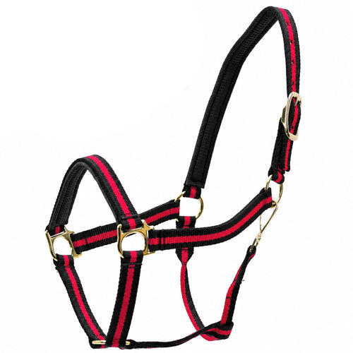 Padded Nylon Horse Halter with Throat Snap