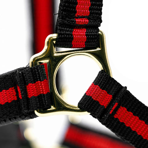 Padded Nylon Horse Halter with Throat Snap