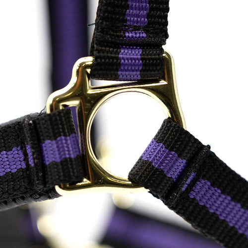 Padded Nylon Horse Halter with Throat Snap