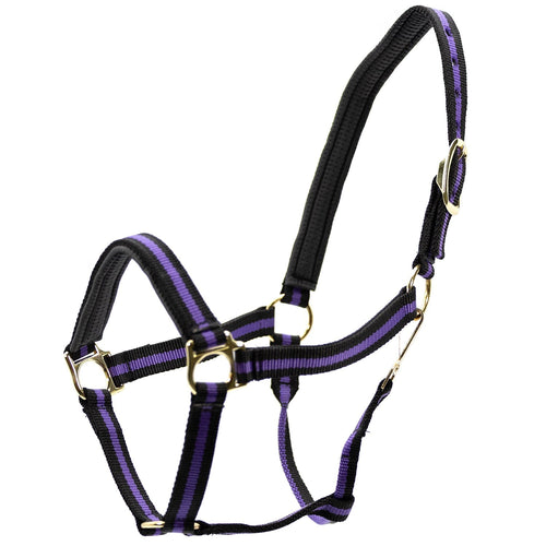Padded Nylon Horse Halter with Throat Snap