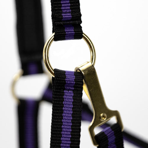 Padded Nylon Horse Halter with Throat Snap