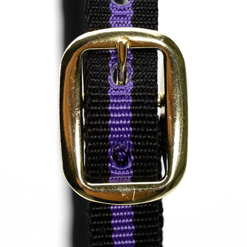 Padded Nylon Horse Halter with Throat Snap