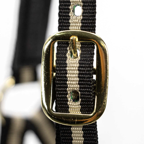 Padded Nylon Horse Halter with Throat Snap