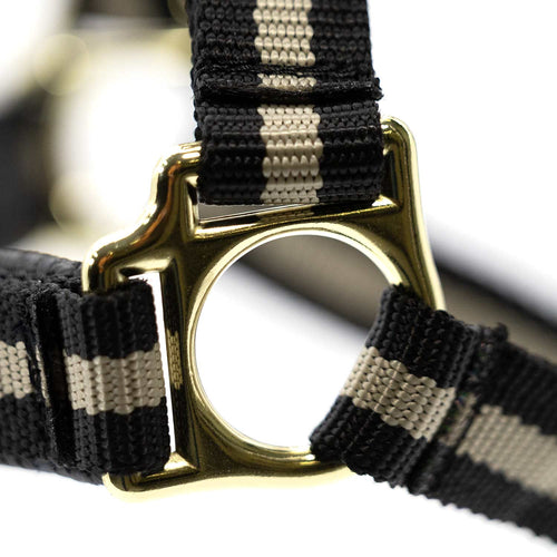 Padded Nylon Horse Halter with Throat Snap