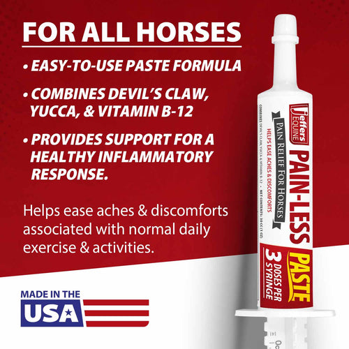 Pain-Less Pain Relief Paste for Horses