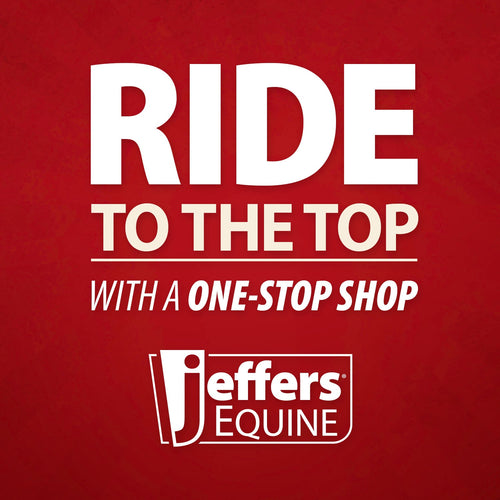 Jeffers Pain-Less Pain Relief Paste for Horses