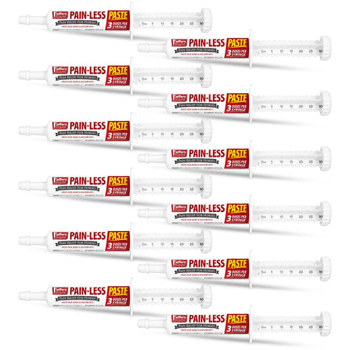 Pain-Less Pain Relief Paste for Horses