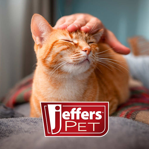 Non-Slip Slicker Pet Grooming Brushes