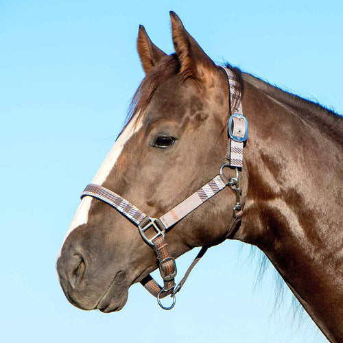 Matching Horse Halter & Lead Rope 2 Piece Set, Full Size