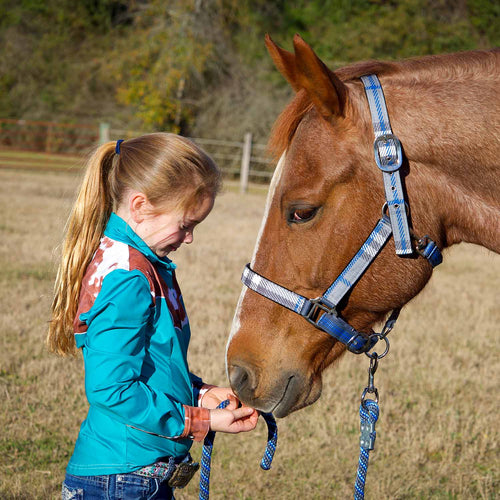 Matching Horse Halter & Lead Rope 2 Piece Set, Full Size