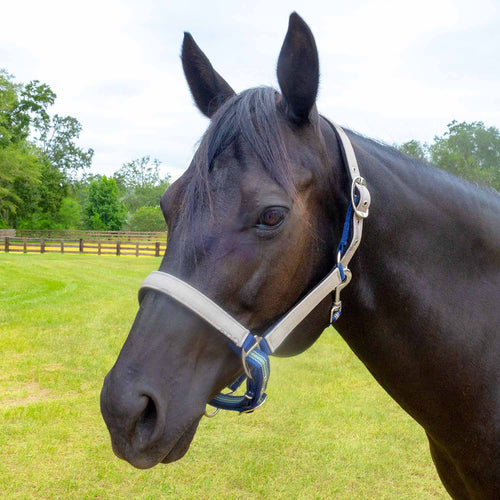Matching Horse Halter & Lead Rope 2 Piece Set, Full Size