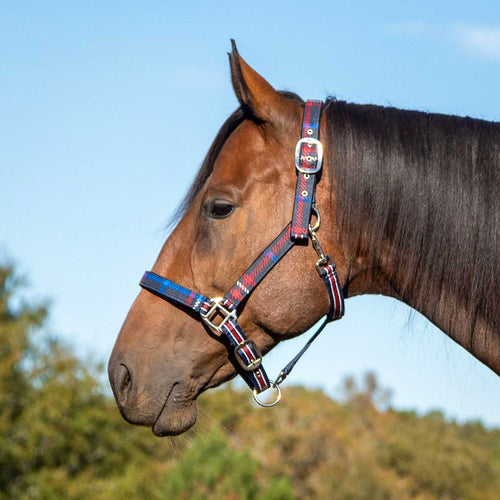Matching Horse Halter & Lead Rope 2 Piece Set, Full Size