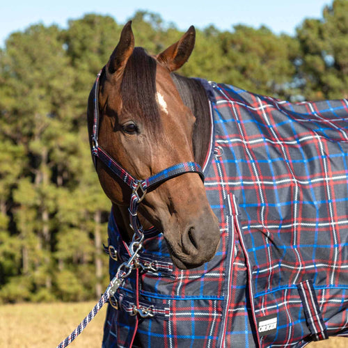Matching Horse Halter & Lead Rope 2 Piece Set, Full Size