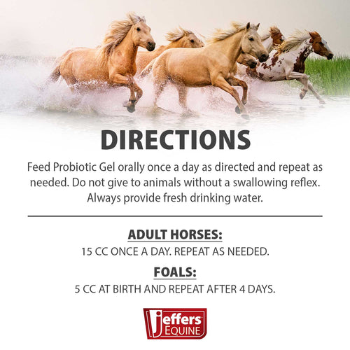 Probiotic Gel for Horses, 2 Dose Syringe