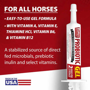 Jeffers Probiotic Gel for Horses, 2 Dose Syringe