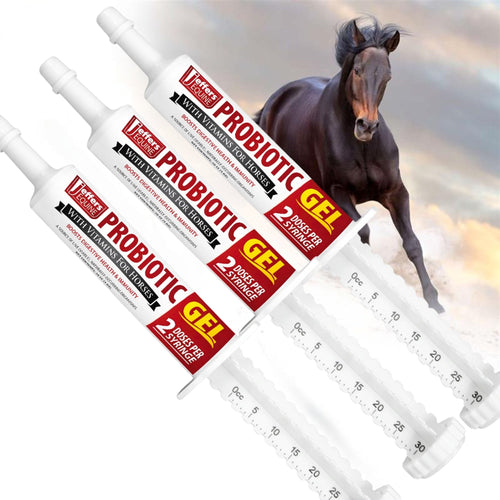 Probiotic Gel for Horses, 2 Dose Syringe