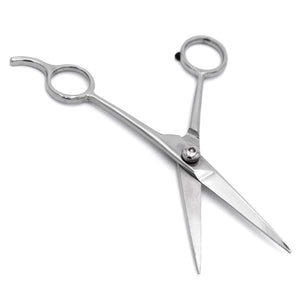 Professional Stainless Steel Pet Grooming Shears