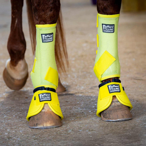 Protective Horse Boots, Solid Colors
