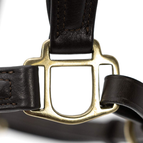 Softie Padded Leather Halter for Horses