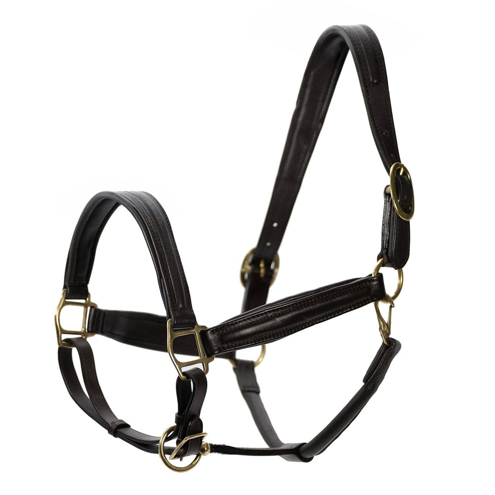 Softie Padded Leather Halter for Horses