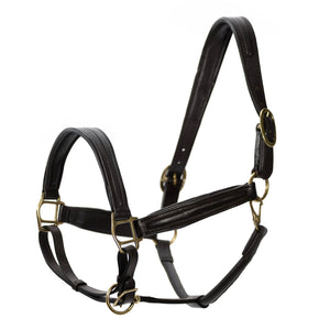 Softie Padded Leather Halter for Horses