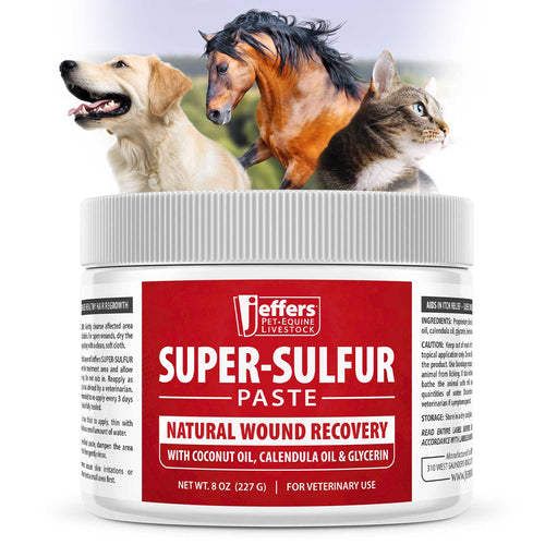 Super-Sulfur Skin & Wound Healing Paste for Pets, Horses, & Livestock