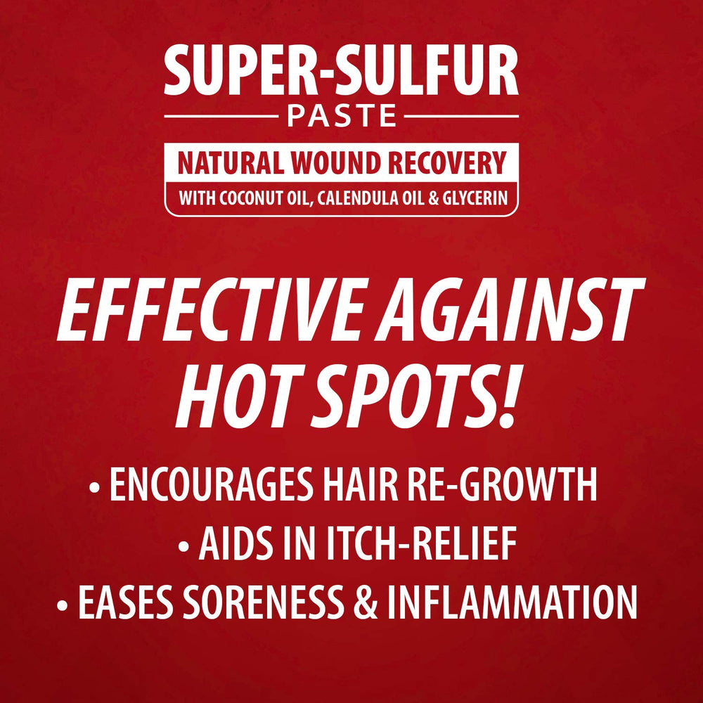 Super-Sulfur Skin & Wound Healing Paste for Pets, Horses, & Livestock