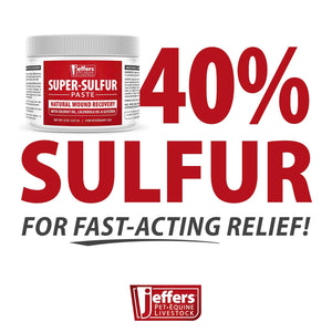 Super-Sulfur Skin & Wound Healing Paste for Pets, Horses, & Livestock