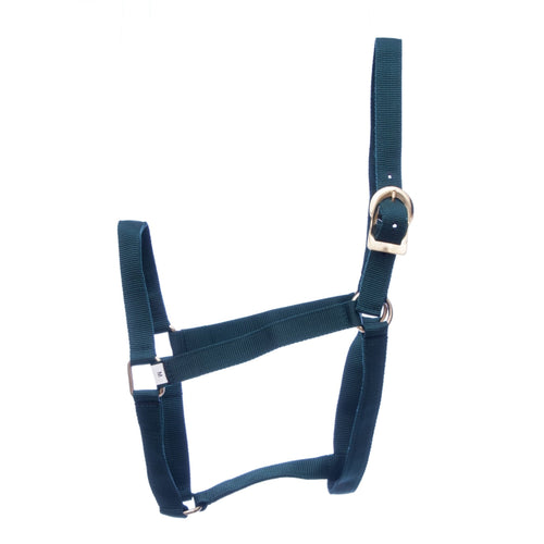 Turnout Nylon Horse Halters, 2-Ply, 1"