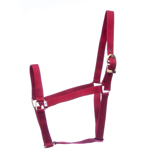 Turnout Nylon Horse Halters, 2-Ply, 1"