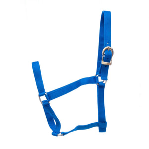 Turnout Nylon Horse Halters, 2-Ply, 1"