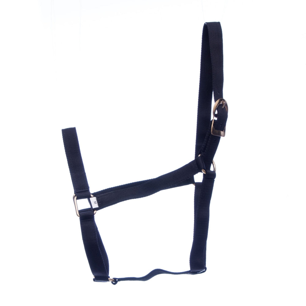 Turnout Nylon Horse Halters, 2-Ply, 1"