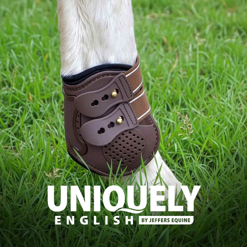 Uniquely English Fetlock Boots for Horses, 2-Pack