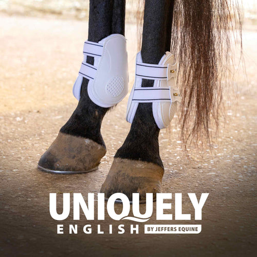 Uniquely English Fetlock Boots for Horses, 2-Pack