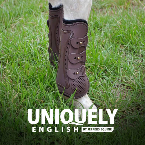 Uniquely English Horse Tendon Boots, 2-Pack