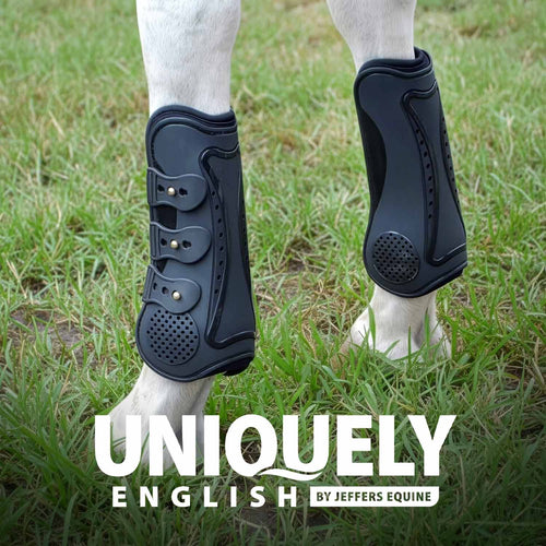 Uniquely English Horse Tendon Boots, 2-Pack