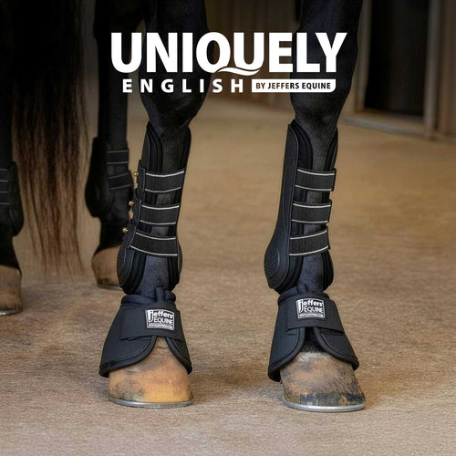 Uniquely English Horse Tendon Boots, 2-Pack