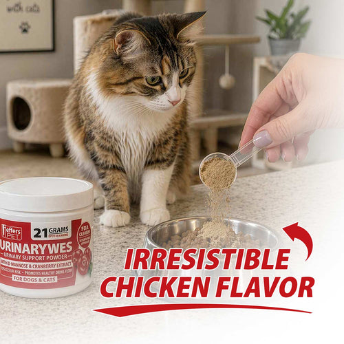 UrinaryWes Urinary Support Powder with D-Mannose for Dogs & Cats