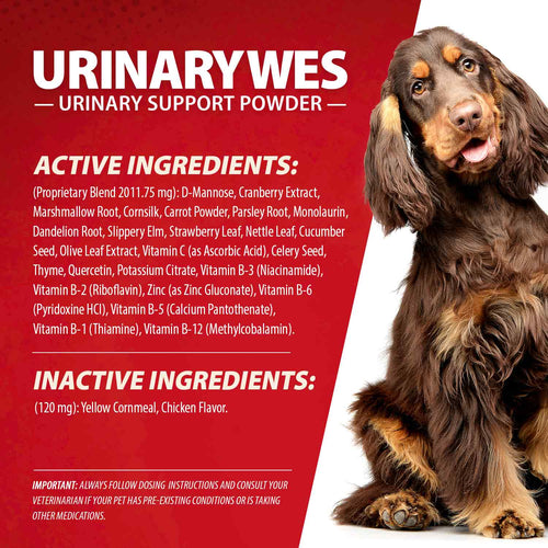 UrinaryWes Urinary Support Powder with D-Mannose for Dogs & Cats