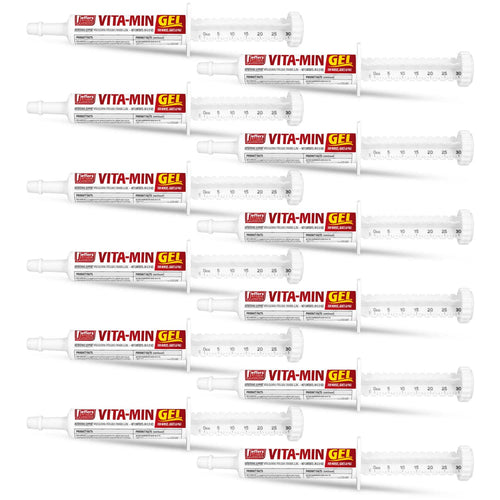 Vita-Min Gel with Vit E & B12 for Cattle, Horses, Sheep, Goats & Swine