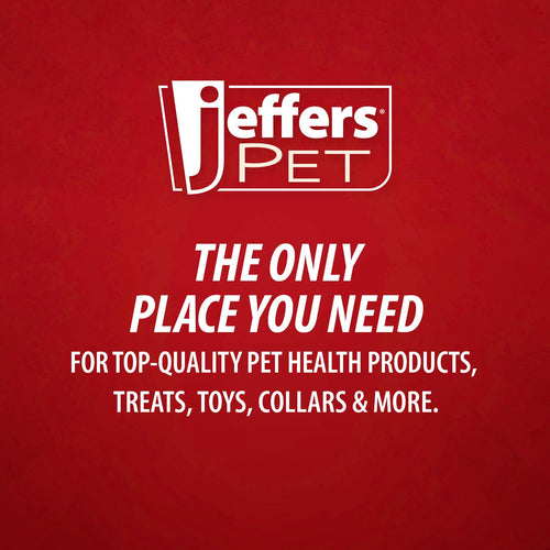 Pin Brush for Pet Grooming