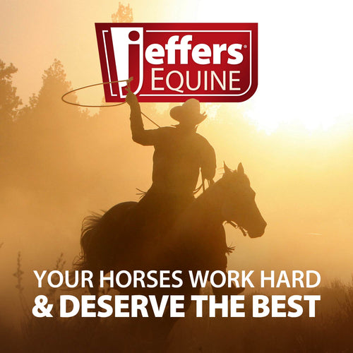 Elite Fleece Horse Cooler Blanket