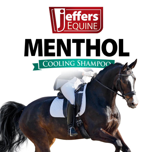 Equine Menthol Cooling Shampoo for Horses