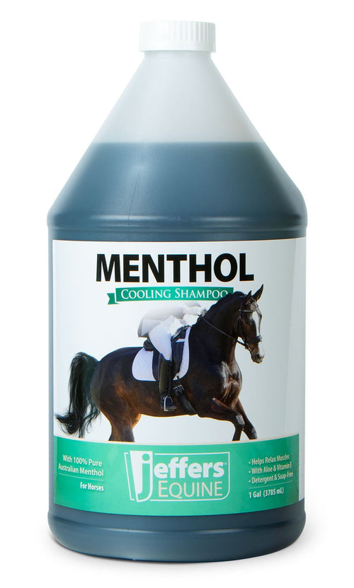 Equine Menthol Cooling Shampoo for Horses