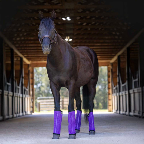 Romper Stomper "Stomp-Free" Fly Boots for Horses, 4 pack