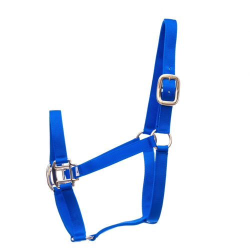 Premium Nylon Weanling & Yearling Horse Halters, 3-Ply, 1"