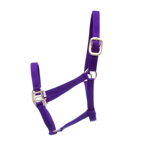 Premium Nylon Weanling & Yearling Horse Halters, 3-Ply, 1"