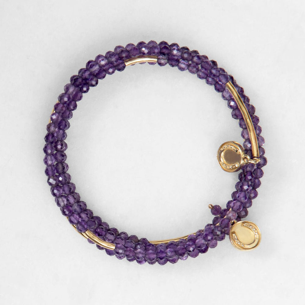 Prism - Amethyst Horseshoe Coin Equestrian Bracelet