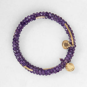 Prism - Amethyst Horseshoe Coin Equestrian Bracelet