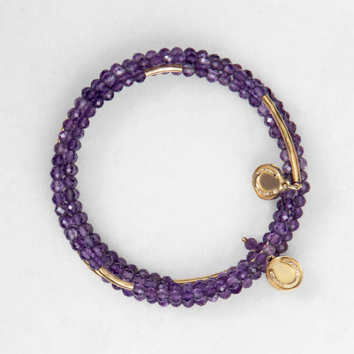 Prism - Amethyst Horseshoe Coin Equestrian Bracelet